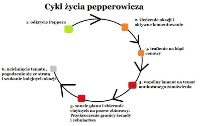 dzieju41 - @ROCKNROLLLA: