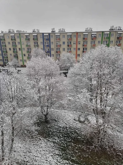 takitamktos - @FreeRiderr: No wygląda to na śnieg. Z kwarantanną ciężko zweryfikować ...