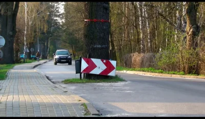 robert5502 - W Polsce jak idzie droga też nie wycinają drzew ( ͡° ʖ̯ ͡°)