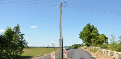 Cephalopoda_Ammonoidea - U nas ratuje się nawet słupy energetyczne, więc jednak nie j...