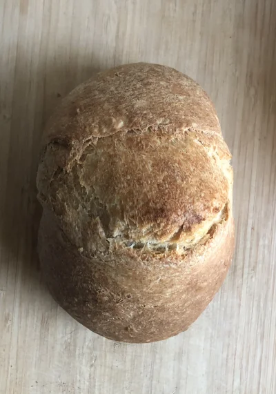 Syllia - Pierwszy chleb w życiu i tyle radości ( ͡° ͜ʖ ͡°) 
#pieczzwykopem #bojowkapi...