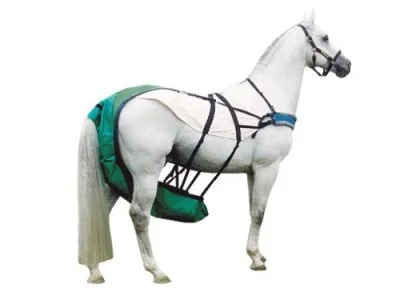 Kosciany - Treptuch rodzaj pieluchomajtek dla starszych wiekiem koni.