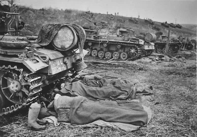 Wolvi666 - @Pantokrator: I tak i nie... Niszczyciele czołgów miały tę zaletę, że ci z...