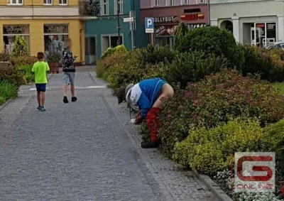 zdjeciezwenszem - akat przypominam, że tajger brązo został kiedyś złapany na gorącym ...