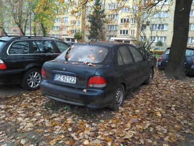 DerMirker - Zgłosiłem pierwszy raz w życiu złoma z aktualnym OC. Jestem ciekaw wyniku...