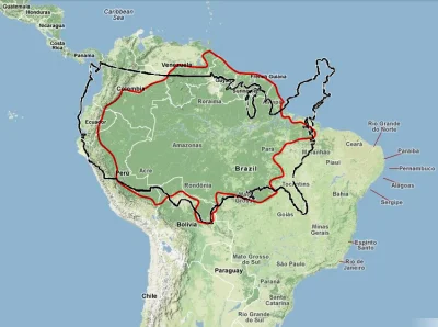 zawszespoko - @Borealny: weź pod uwagę wielkość lasów amazońskich. Mówimy tutaj o pow...
