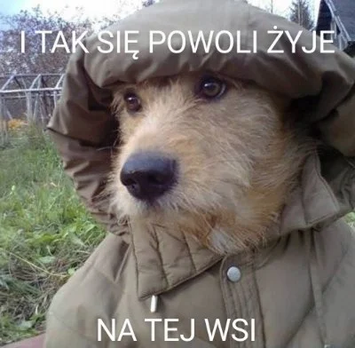 p.....7 - @Testuje_Toster: dokładnie tak jest u mnie..