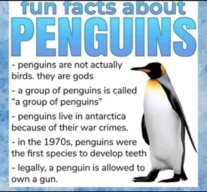 KarmazynowyHefalump - #zwierzaczki #humorobrazkowy #pingwin
Trochę interesujących fa...