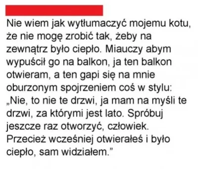 s.....j - #humorobrazkowy #heheszki #koty