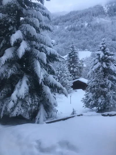 fakir2 - Dzisiejszy poranek w #alpy w jedną noc 50cm śniegu. Miłego dnia #zima #zimaz...