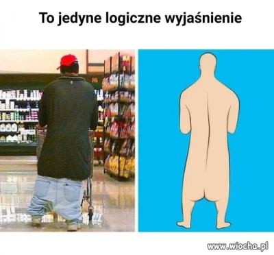 luxkms78 - #jedynelogicznewyjasnienie #wyjasnienie