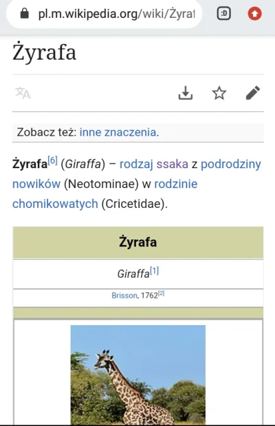 Wrytra - #zwierzaczki #zwierzeta #wikipedia #zyrafa

Żyrafa z rodziny chomikowatych