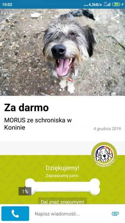 spookyscaryskeleton - Halko proszę karmić bezdomne pieski na olx (｡◕‿‿◕｡) - coroczna ...