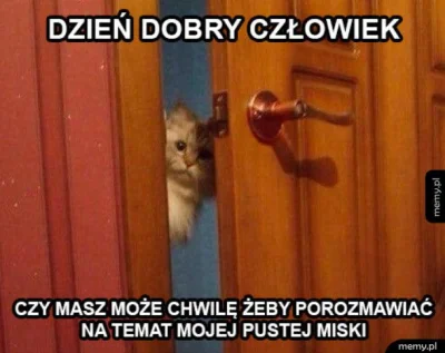 Sandrinia - #dziendobry (｡◕‿‿◕｡) trzeba nakarmić #kitku i siebie. Miłego dnia ʕ•ᴥ•ʔ
...