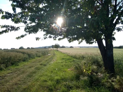 niezmarnujtlenu - #caminoweopowiesci 

Hej,
minęło prawie równe półtora roku od za...