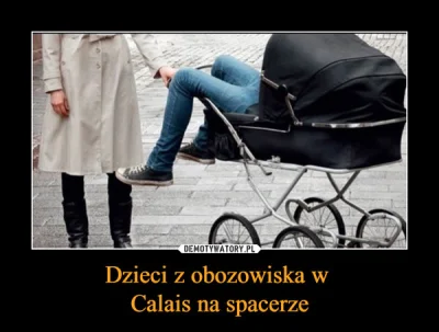 januszzczarnolasu - @JakubWedrowycz: Wózki mają szerokie zastosowanie