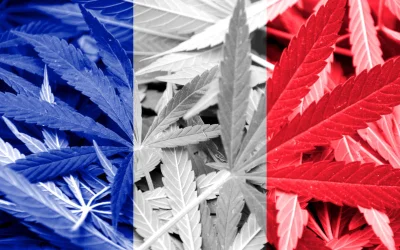 NewsKanabis - @NewsKanabis: Francja Planuje Rozdawać Darmową Marihuanę w 2021 Francus...