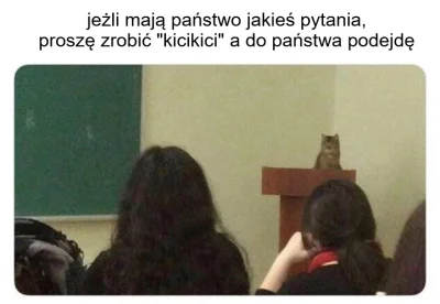 Niemaszracj_idioto - #humorobrazkowy #koty #smiesznekotki