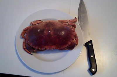 anonymous_derp - Dzisiejsze śniadanie: Gotowany krab. 

Do czarnolistowania: #69762...