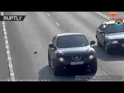 starnak - Man saves kitten stranded in the middle of busy highway