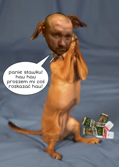 M.....k - XDD poprzedni obrazek spadł za "Atakuje innych" XDD
#kononowicz