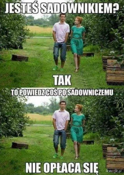 T.....i - #pracbaza #heheszki #humorobrazkowy