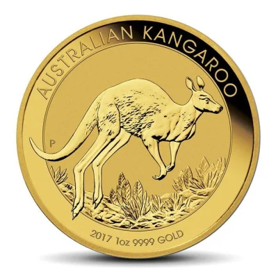 a.....e - Australijski kangur