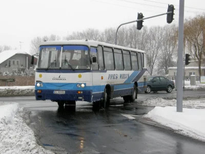 PorzeczkowySok - #autosan