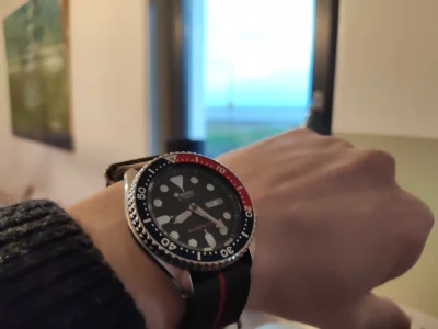 Janusz_Dmowski-Zubr - Mieszkam nad morzem, więc zawsze mam morski zegarek 

SPOILER