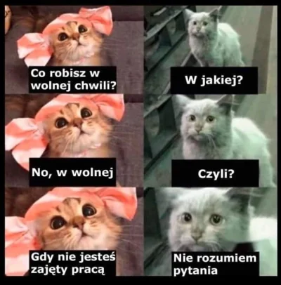 Ciostko69 - @Ciostko69:

#humorobrazkowy #true #heheszki