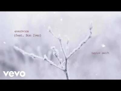 RoHunter - Taylor Swift - evermore ft. Bon Iver

#taylorswift #bojowkataylorswift #...