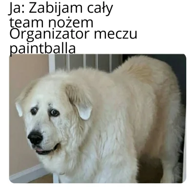 RandomowyJanusz - #paintball #heheszki