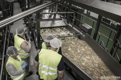 FulTun - Może sprzątaczka na hali produkcyjnej w dziale płukania ziemniaków wylała do...
