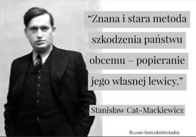 I.....o - #cytatywielkichludzi #catmackiewicz 
#konfederacja