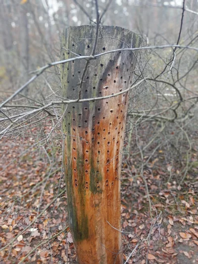 Alter_Konto - Można też spotkać coś takiego