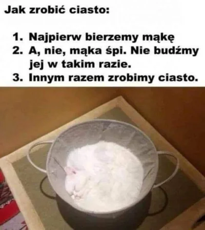 JENDZA - #kitku #kot #koty #smiesznekotki #heheszki #humorobrazkowy