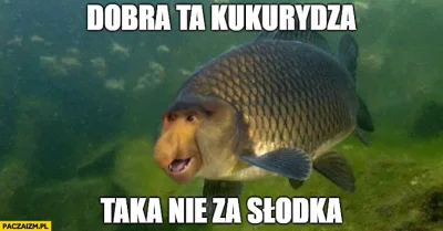 bybi - @SzybkiPociskAkacza: