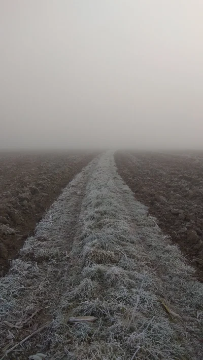 Szysznik - Pole się coś dziś nie wczytuje
#mgla #malopolska