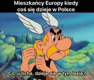 t.....e - #humorobrazkowy #polska #asterixiobelix