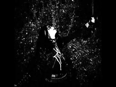 wykoprock - #blackmetal #metal

Bardzo fajna płyta