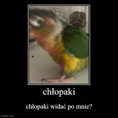 Michael_Scott - #maciekcontent