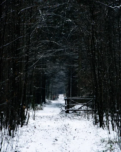 Moss49 - Zacząłem ostatnio swoją przygodę z fotografią, jeśli się komuś podoba to zos...