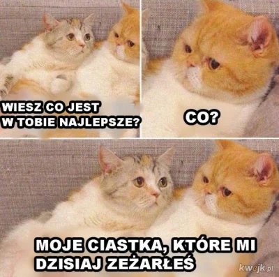 Garztam - #heheszki #humorobrazkowy #zwiazki