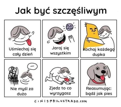 JENDZA - #zwierzaczki #smiesznypiesek #heheszki #humorobrazkowy