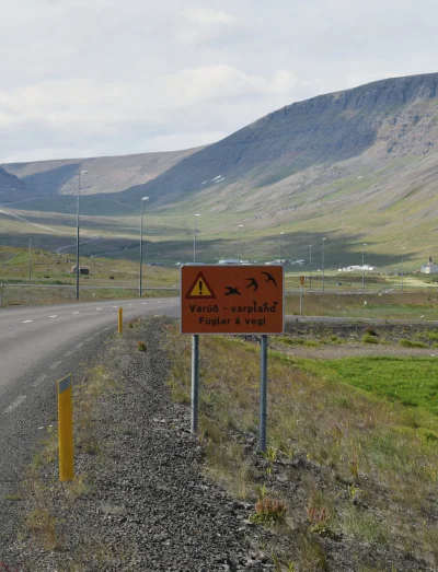 andale - #andrzejnarowerze 
Jednym z najgorszych doświadczeń na Islandii dla rowerzys...