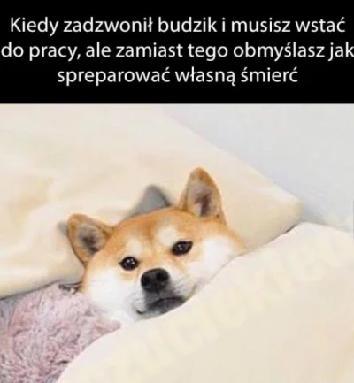 b.....h - #dziendobry
Miłego poniedziałku!