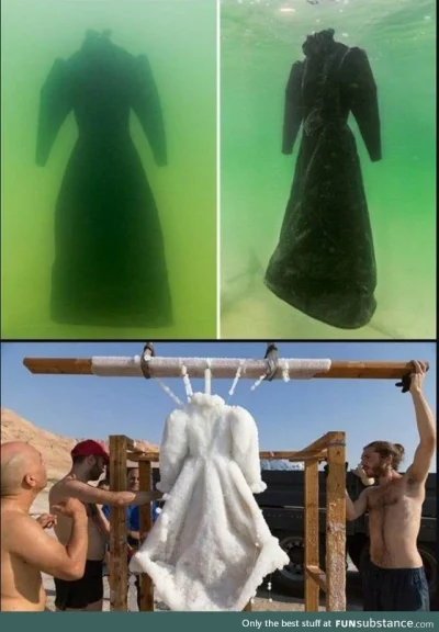 K.....y - Pewien artysta pozostawił suknie na dnie Morza Martwego na 2 lata. Oto co z...