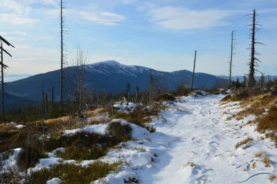 kmds - Która trasa na Police jest najbardziej polecana? (ʘ‿ʘ)

#gory #tatry #babiagor...