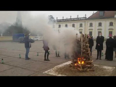 f.....a - juz sa przygotowania do spalenia #kononowicz na chruscie tylko konon wszyst...