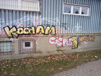 PrezesKarp - Piękne graffiti z przekazem kulinarnym w #krosno urzekło mnie.